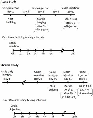 Attenuation of Compulsive-Like Behavior Through Positive Allosteric Modulation of α4β2 Nicotinic Acetylcholine Receptors in Non-Induced Compulsive-Like Mice